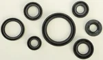 VERTEX Oil Seal Kit - High-Quality Gasket Seal for Powersports Equipment