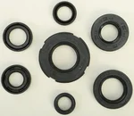 VERTEX Oil Seal Kit - Durable Gasket Set for High-Performance Engines