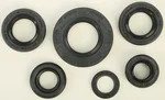 VERTEX 822224 Oil Seal Kit - High-Quality Gasket Set for Powersports Equipment
