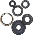 VERTEX Oil Seal Kit - Durable Gasket Set for Powersports Equipment
