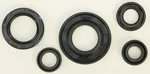 VERTEX Oil Seal Kit - High-Quality Gasket/Seal Replacement for Powersports Equipment