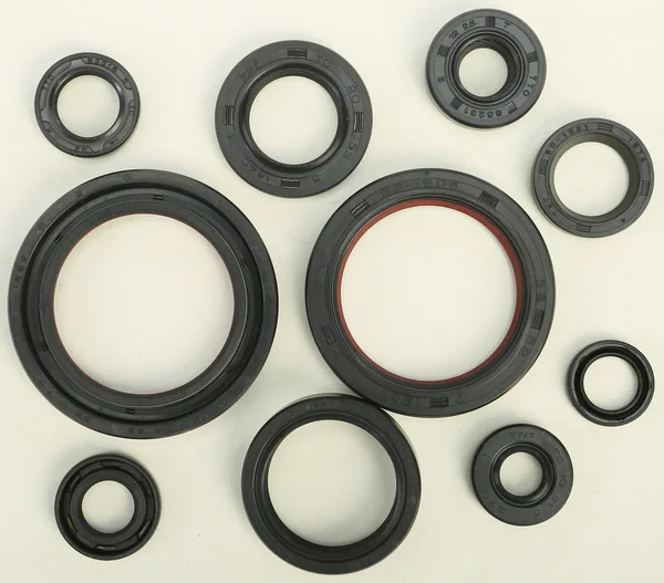 VERTEX Oil Seal Kit for Powersports - Durable Gasket Set for Reliable Engine Performance