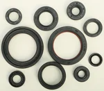 VERTEX Oil Seal Kit for Powersports - Durable Gasket Set for Reliable Engine Performance