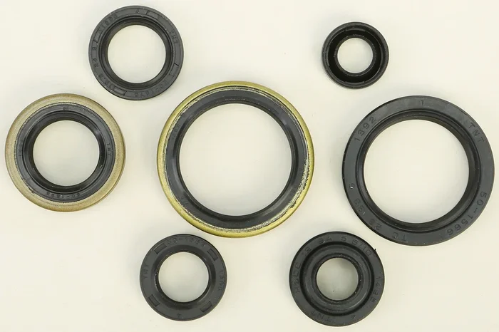 VERTEX Oil Seal Kit - Durable Gasket Solution for Powersports Equipment