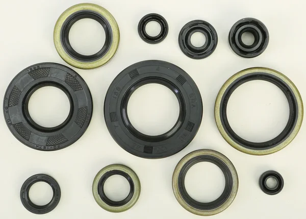 VERTEX Oil Seal Kit - High-Quality Gasket Replacement for Powersports Equipment