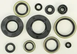 VERTEX Oil Seal Kit - High-Quality Gasket Replacement for Powersports Equipment