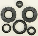 VERTEX Oil Seal Kit - Durable Gasket Set for Powersports Engines