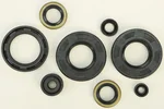 VERTEX Oil Seal Kit - High-Quality Gasket Set for Powersports Equipment