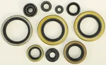 Vertex 822295 Oil Seal Kit - Premium Gasket Kit for Powersports Engines