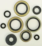 VERTEX Oil Seal Kit - Durable Gasket Set for High-Performance Engines