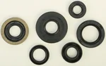 VERTEX Oil Seal Kit - High-Quality Gasket Seal for Powersports Engines