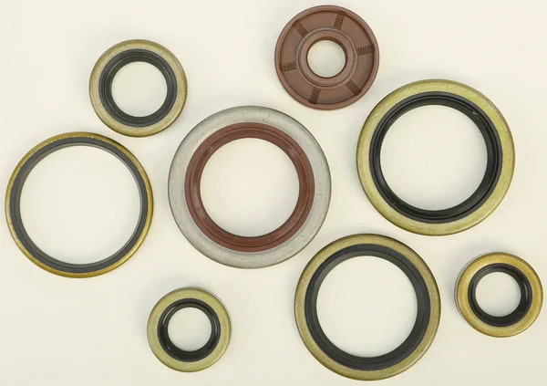 VERTEX Oil Seal Kit - Durable Gasket Set for Powersports Equipment