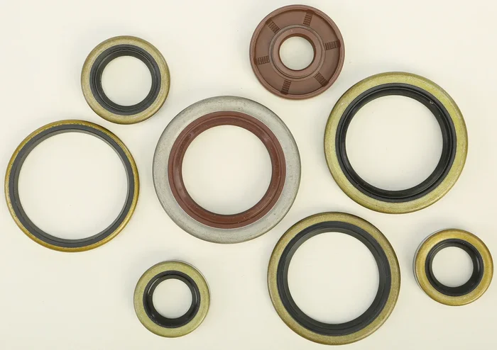 VERTEX Oil Seal Kit - Durable Gasket Set for Powersports Equipment