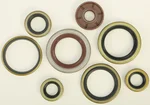VERTEX Oil Seal Kit - Durable Gasket Set for Powersports Equipment