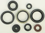 Vertex 822329 Oil Seal Kit - High-Quality Gasket Seal for Powersports Equipment