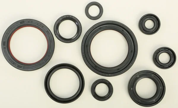 Vertex Oil Seal Kit - High-Quality Gaskets/Seals for Powersports Equipment