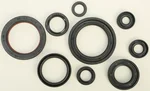 Vertex Oil Seal Kit - High-Quality Gaskets/Seals for Powersports Equipment