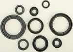 VERTEX Oil Seal Kit - Premium Gasket Replacement for Powersports Equipment