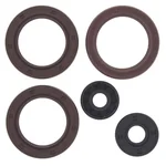 VERTEX Oil Seal Kit - High-Quality Gasket Replacement for Powersports Equipment