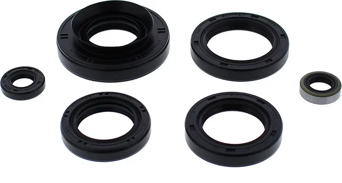 VERTEX Oil Seal Kit - Durable Gasket Set for Powersports Equipment