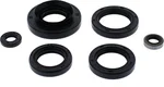 VERTEX Oil Seal Kit - Durable Gasket Set for Powersports Equipment