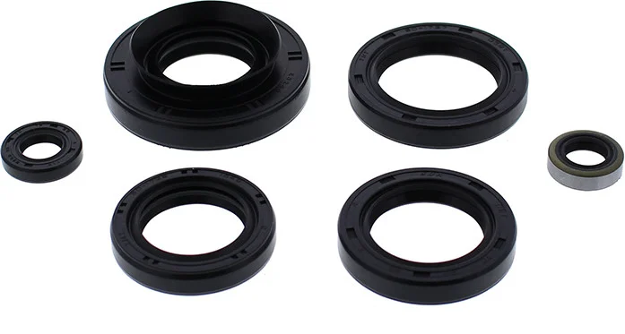 VERTEX Oil Seal Kit - Durable Gasket Set for Powersports Equipment