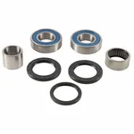 ALL BALLS - 25-1789 - All Balls Wheel Bearing Kits