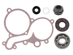 SP1 - SM-10104 - Water Pump Repair Kit