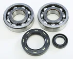 ProX Crankshaft Bearing & Seal Kit - High-Quality Engine Repair Kit for Powersports Vehicles