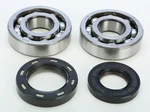 ProX Crankshaft Bearing & Seal Kit - High-Durability Engine Replacement Kit for Powersports Vehicles