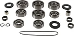 ALL BALLS - 25-7001 - TRANSMISSION BEARING AND SEAL KIT