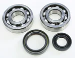 ProX Crankshaft Bearing & Seal Kit - High-Quality Engine Repair Kit for Powersports