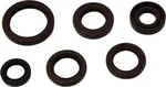 VERTEX - 822367 - Oil Seal Kit