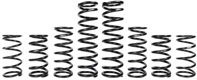 ZBROZ - K30-PL1030-0 - Dual Rate Spring Kit