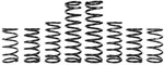 ZBROZ - K30-PL1030-0 - Dual Rate Spring Kit
