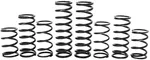 ZBROZ - K30-PL1032-0 - Dual Rate Spring Kit