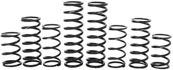 ZBROZ - K30-PL1033-0 - Dual Rate Spring Kit