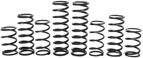 ZBROZ - K30-PL1033-0 - Dual Rate Spring Kit