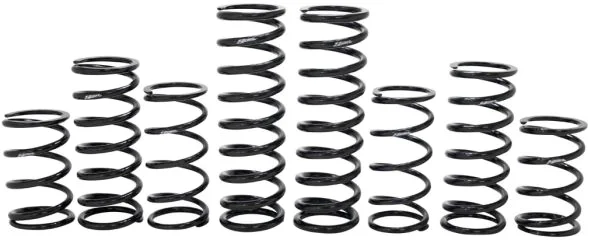 ZBROZ - K30-PL1037-0 - Dual Rate Spring Kit