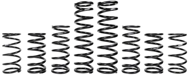 ZBROZ - K30-PL1034-0 - Dual Rate Spring Kit