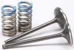 ProX Steel Intake Valve & Spring Kit - Durable Replacement for High-Performance Engines
