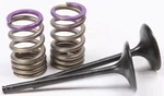 ProX Steel Intake Spring Kit - Durable Replacement for Titanium Valves | Engine Kit