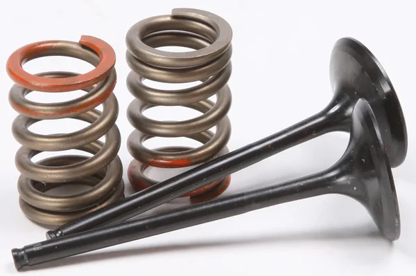 ProX Steel Intake Spring Kit - High-Performance Replacement for OEM Titanium Valves