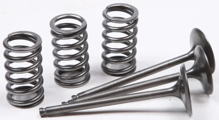 ProX Steel Intake Spring Kit - High-Performance Replacement for Titanium Valves