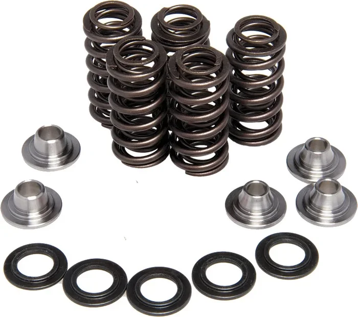 KPMI Racing Valve Spring Kit - Premium Chrome Silicon for High-Performance Engines