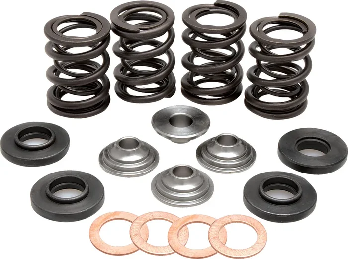 KPMI Racing Valve Spring Kit - High-Performance Engine Springs for Enhanced Power & Durability