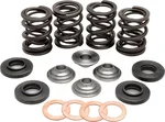 KPMI Racing Valve Spring Kit - High-Performance Engine Springs for Enhanced Power & Durability