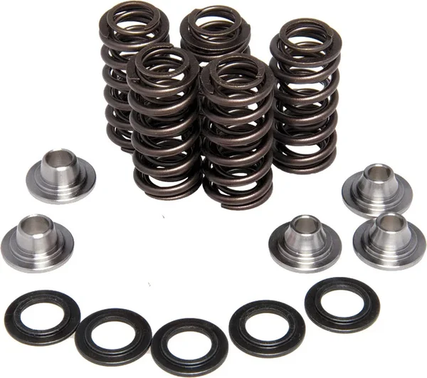 KPMI 20-20435 Valve Spring Kit - Premium Chrome Silicon Engine Springs for Maximum Performance