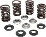 KPMI 20-20132 Valve Spring Kit - Premium Chrome Silicon Valve Springs for High-Performance Engines