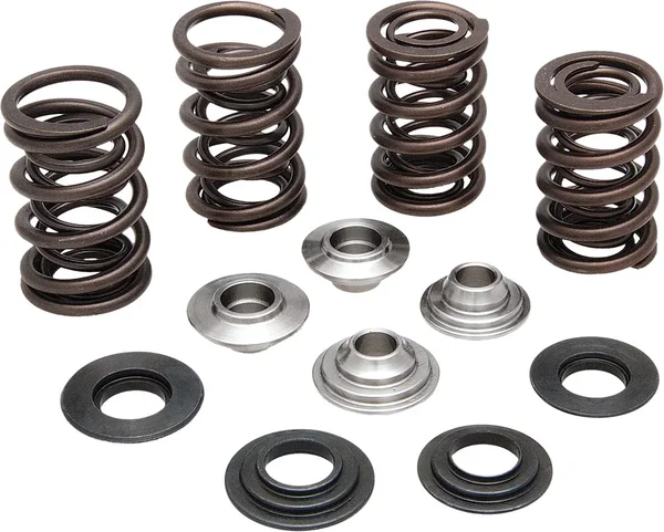 KPMI 20-20364 Valve Spring Kit - Premium Chrome Silicon Engine Springs for High-Performance Motorsports